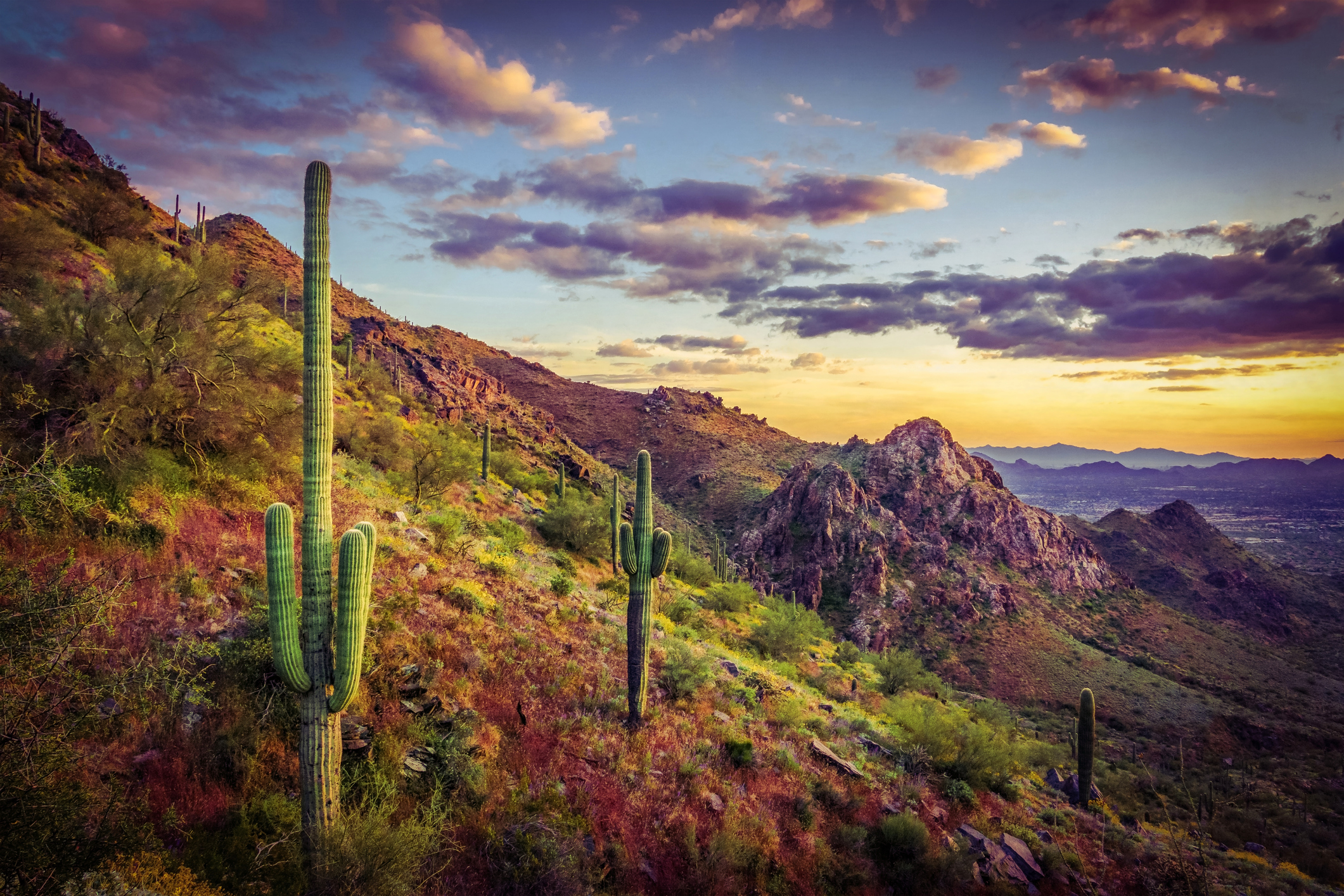 Arizona is home to autonomous trucking’s ‘revolutionary tech and evolutionary pace’