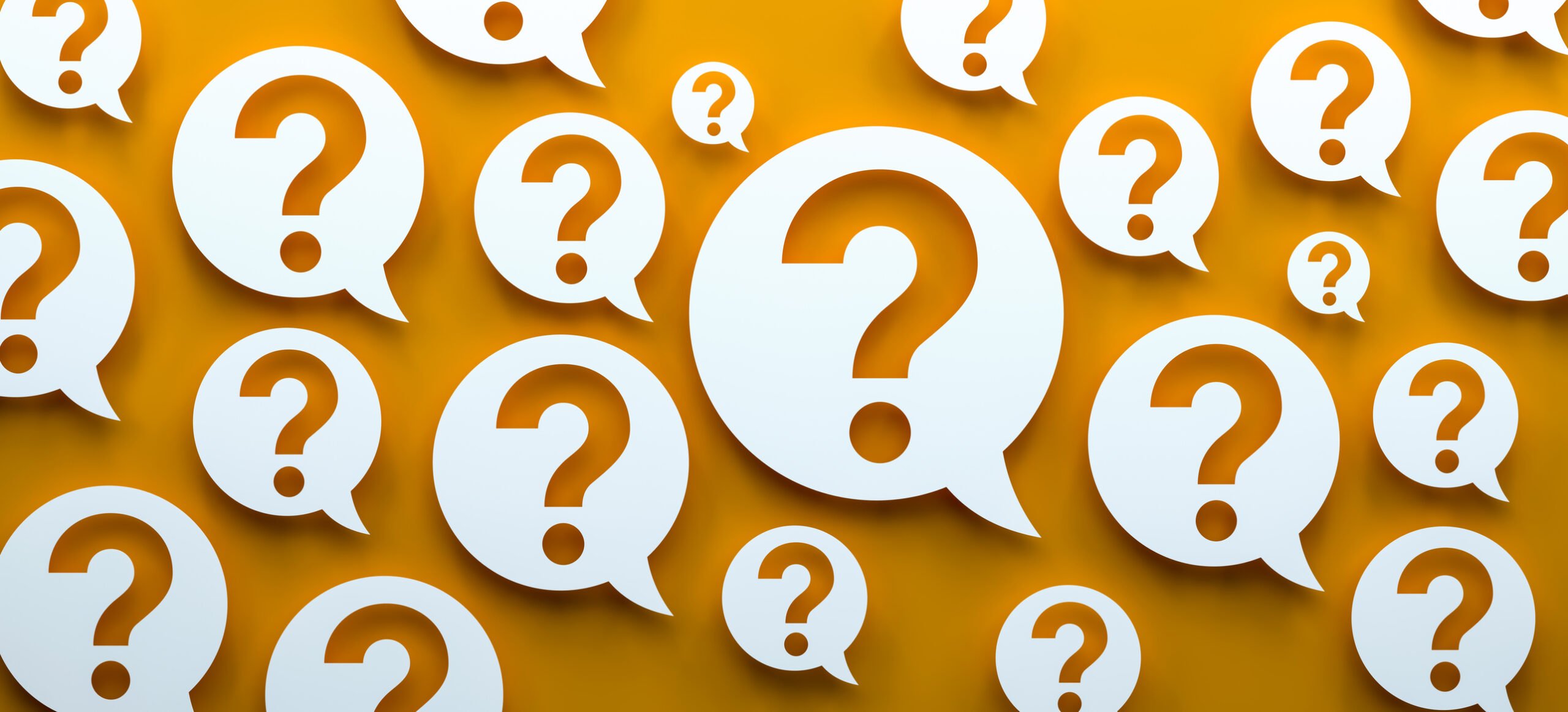 What were some of the questions you asked as a rookie?
