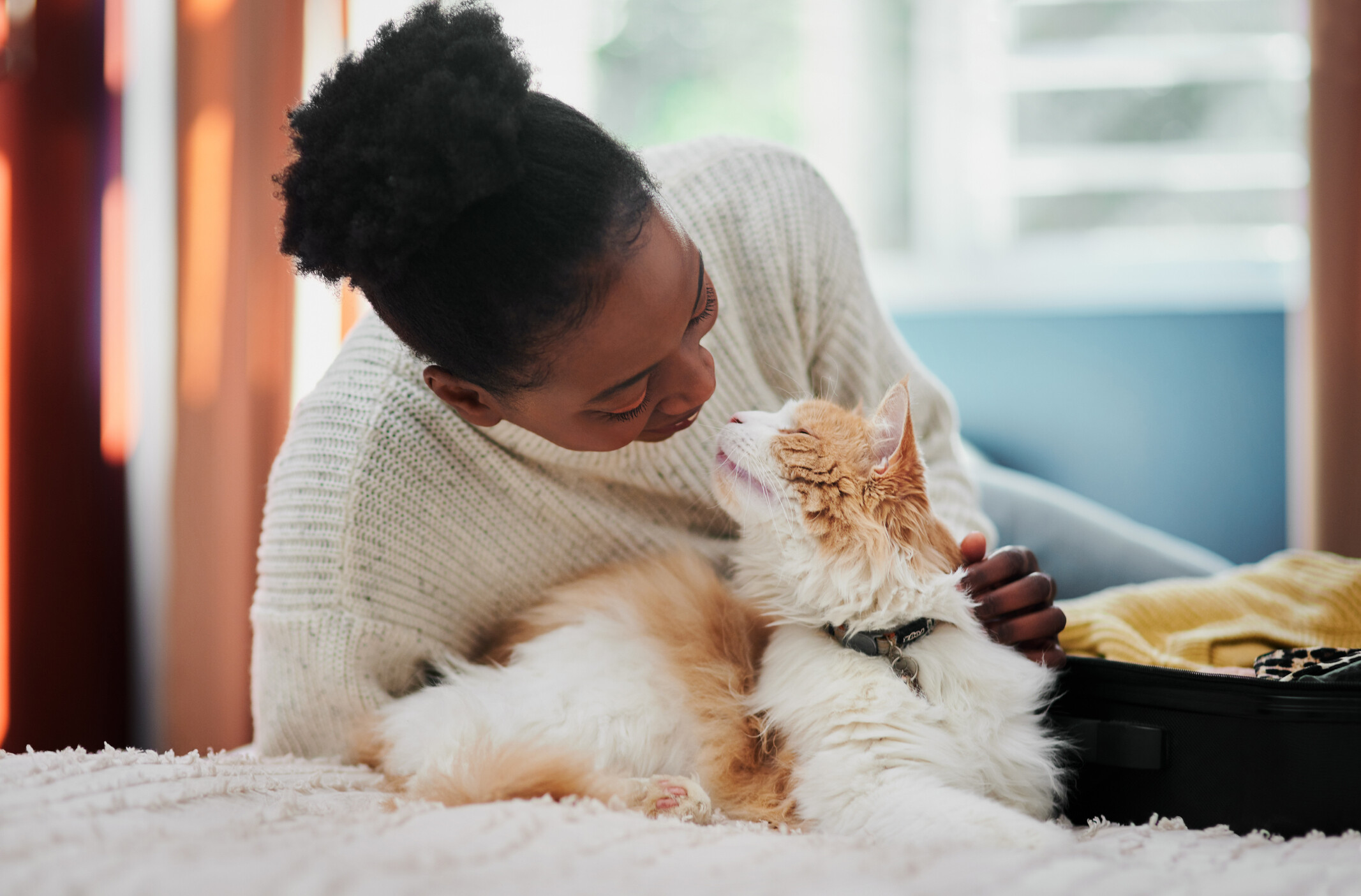 Do you travel with your pet? Where did you have the best time?