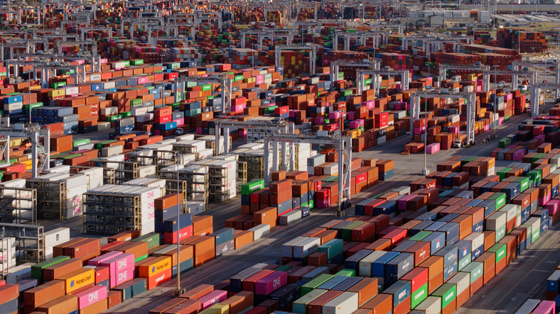 Savannah, GA Terminal Shifting to Containers Only