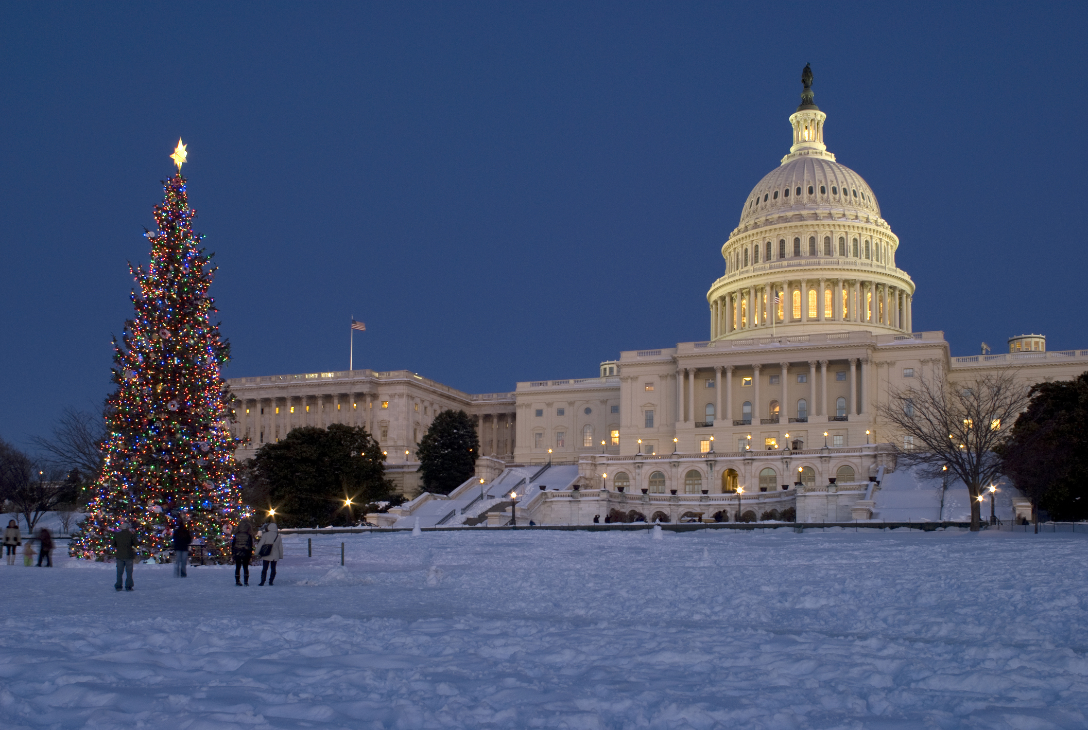 U.S. Capitol Christmas tree to begin its journey