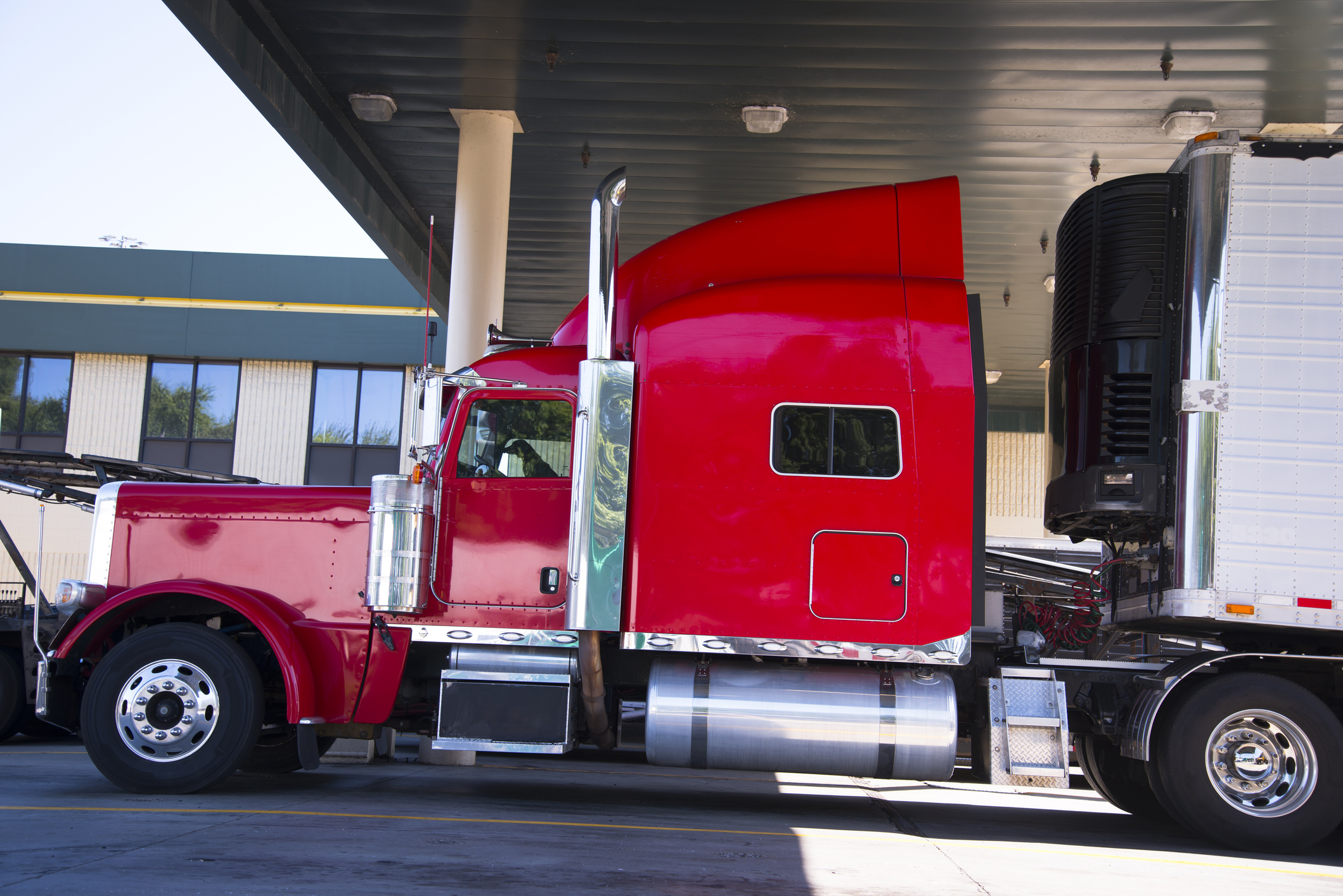 Trucker Pet Spotlight: Tinker, the Itty Bitty Pitty