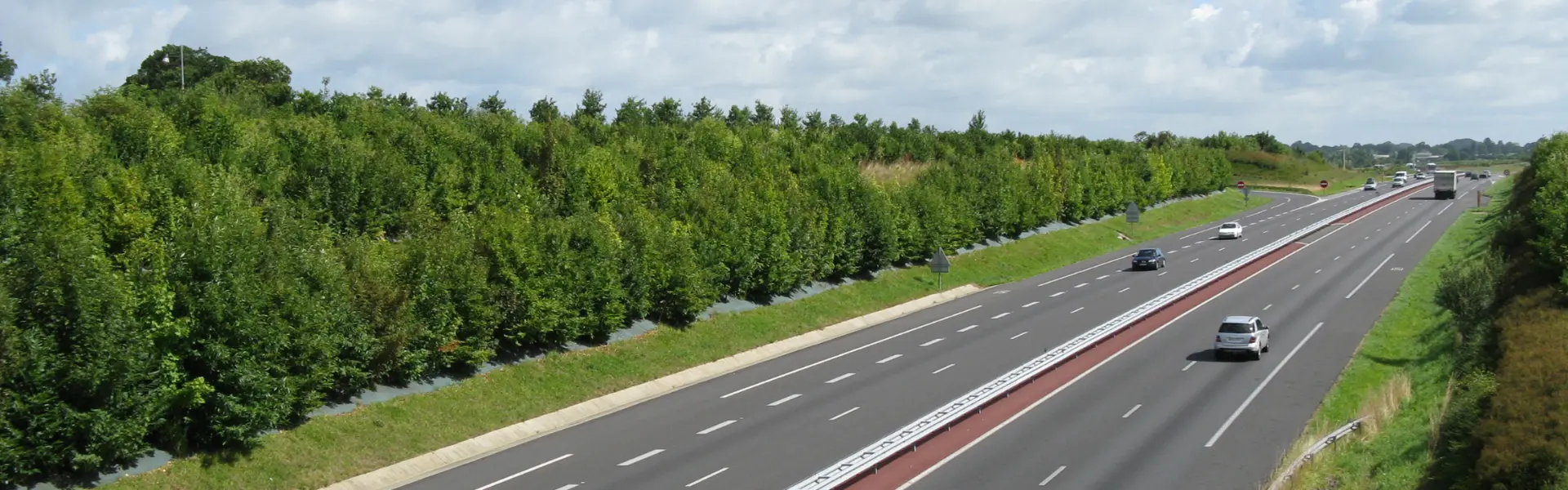 Trucker Named Highway Angel After Bravely Rescuing Mother and Baby