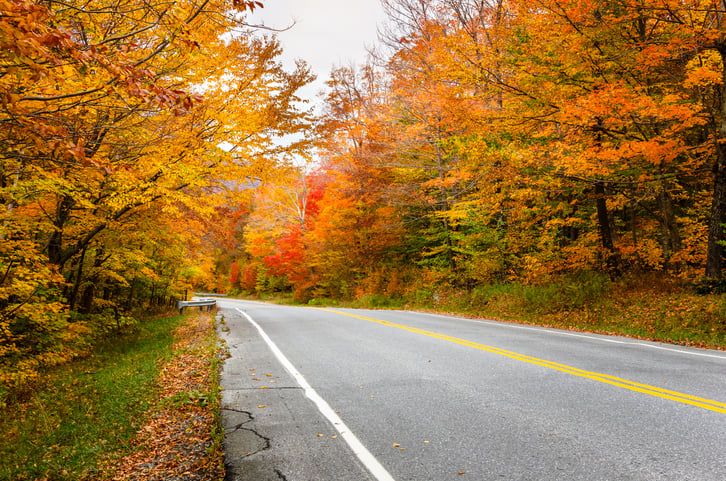 Trucks Attempting This Section of Vermont Route 108 get Stuck with Fines