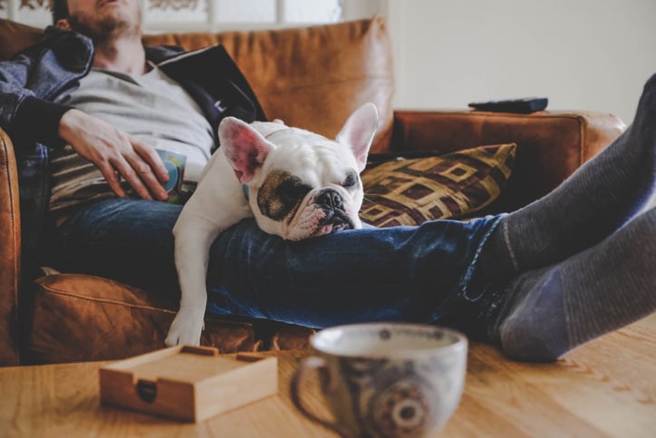 New Survey Reveals How Often Truckers Prefer to be Home