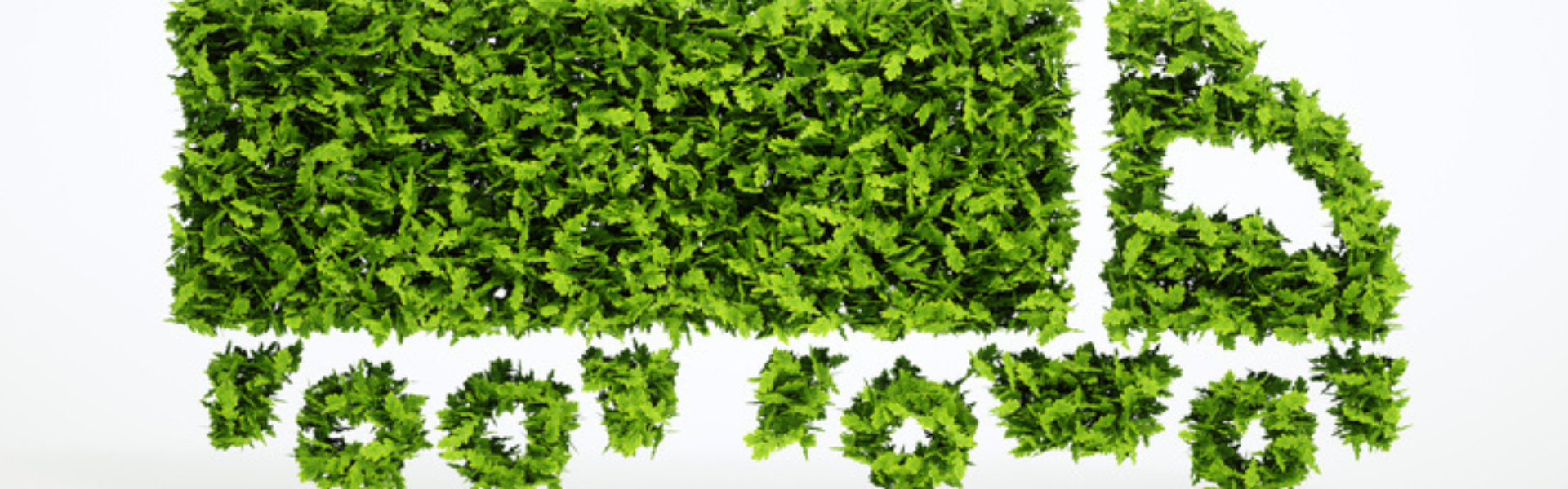 Developing a Sustainable and Environmentally Conscious Trucking Lifestyle