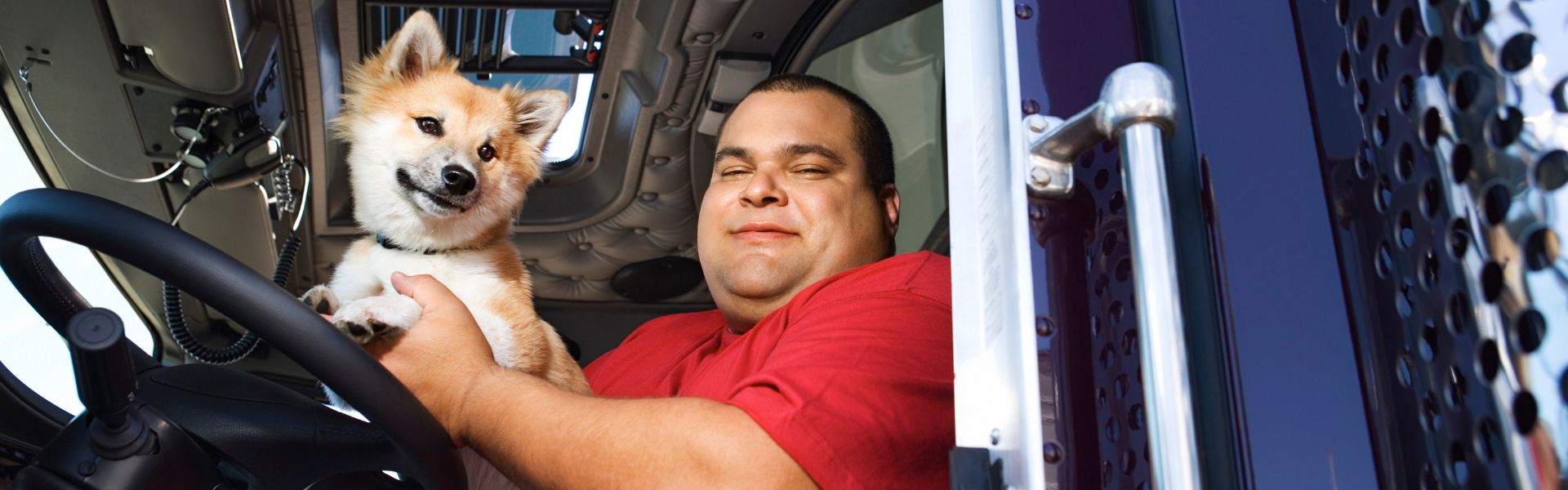 Survey Reveals Half of Drivers Travel with Their Pets for Emotional Support