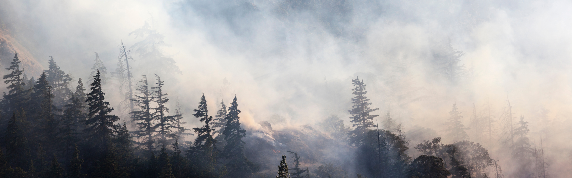 Truck Driver Helping Combat Wildfires and Support Rural Communities