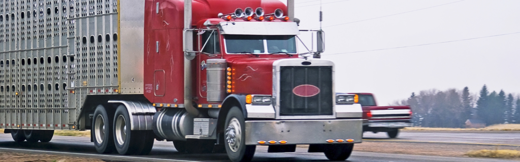 red semi truck with livestock trailer