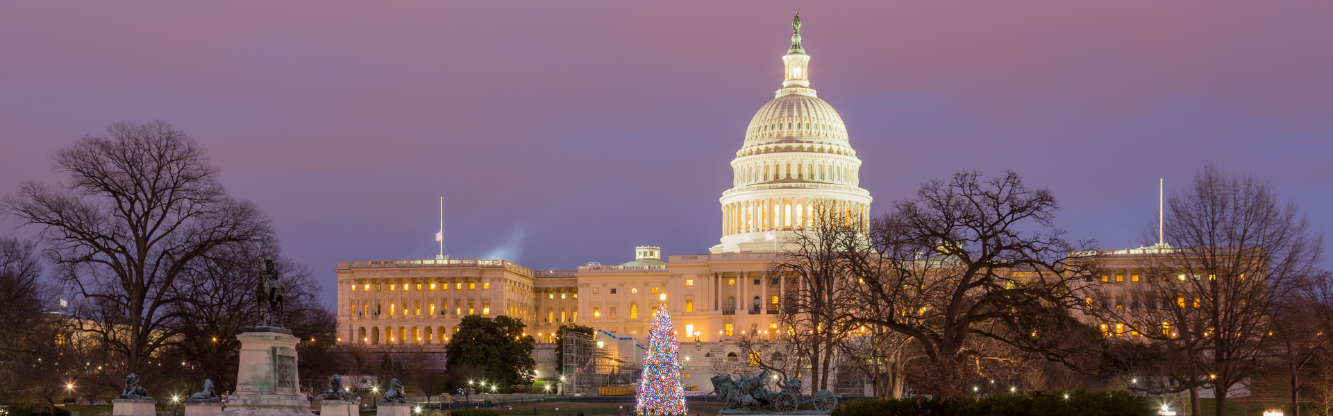 U.S. Capitol Christmas Tree Delivery Supported by TruckStop