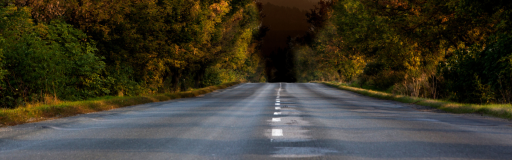 tree lined highway