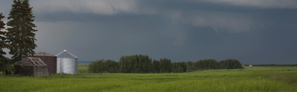 summer storm