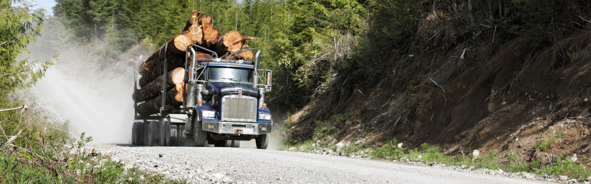 Finding the Right Freight: A Quiz for Truck Drivers