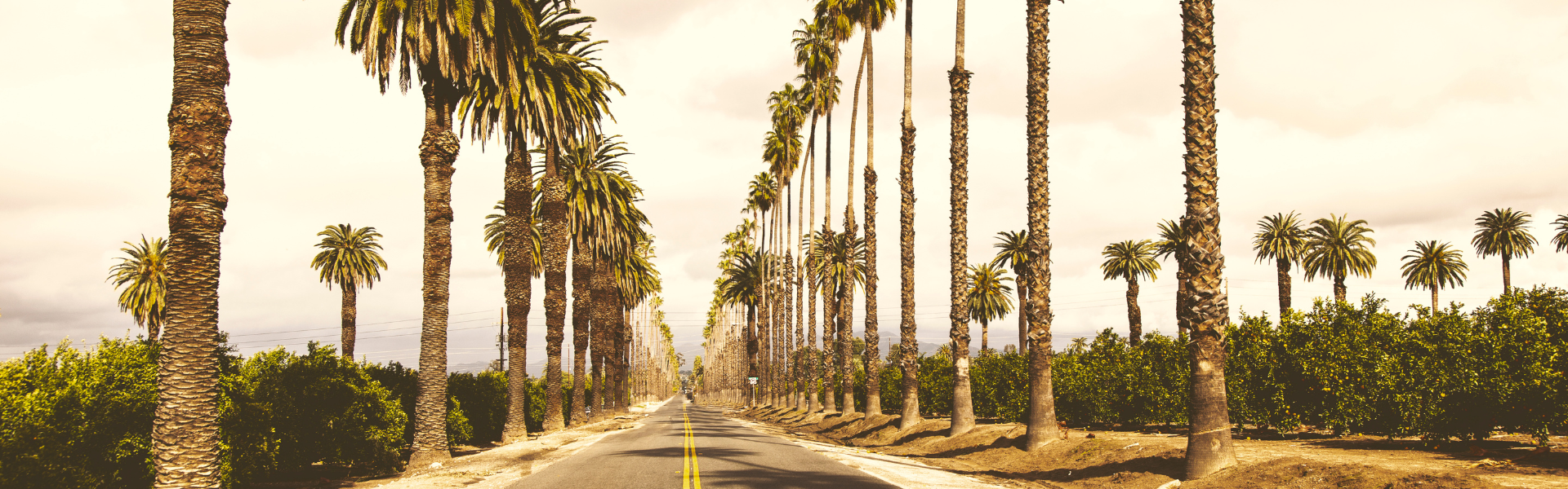 Top 5 States with Thriving Opportunities for Truck Drivers