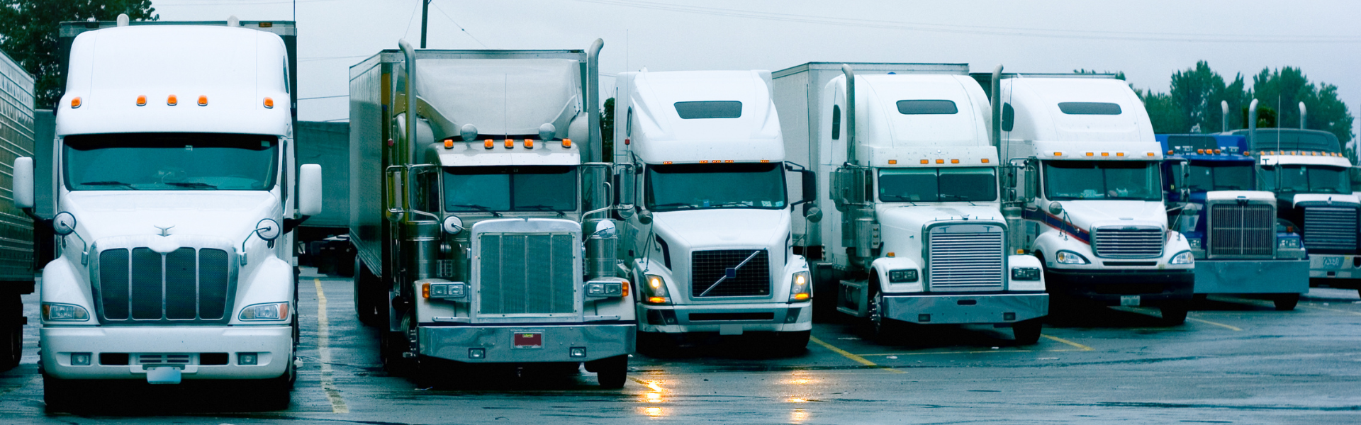 Findings from Fleet Advantage’s Industry-Wide Survey on Truck Replacement Trends