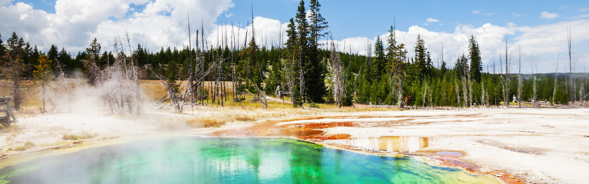 The Coolest Places Truck Drivers Have Visited: A Scenic Adventure