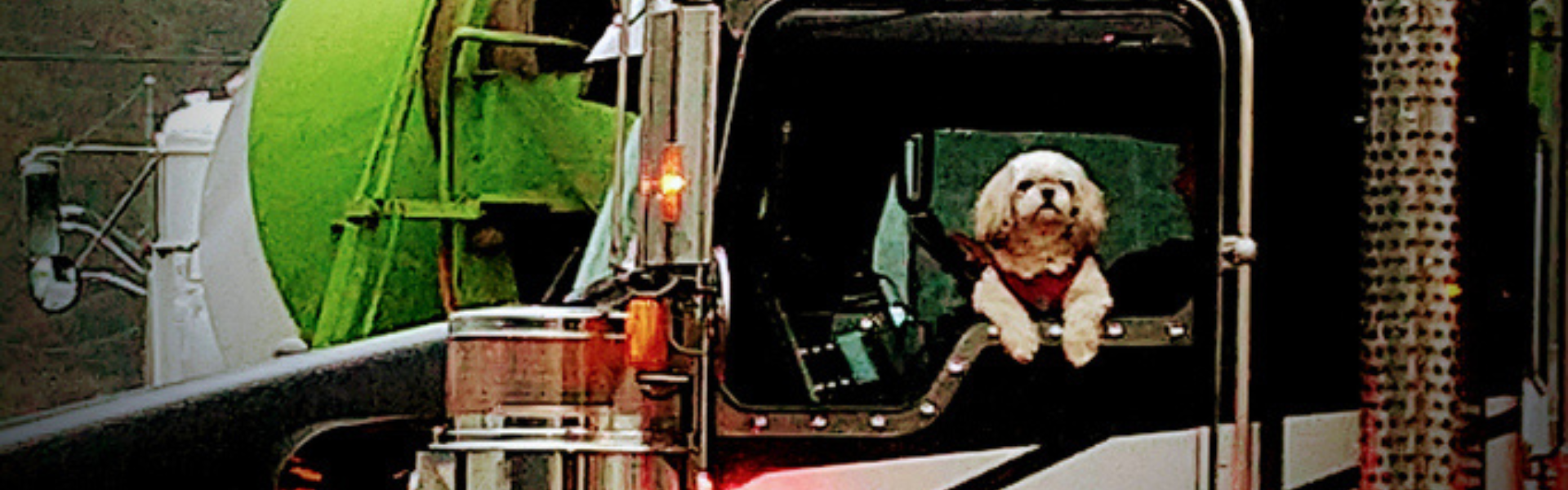 Riding Shotgun: The Ultimate Guide to Traveling with Pets as a Truck Driver