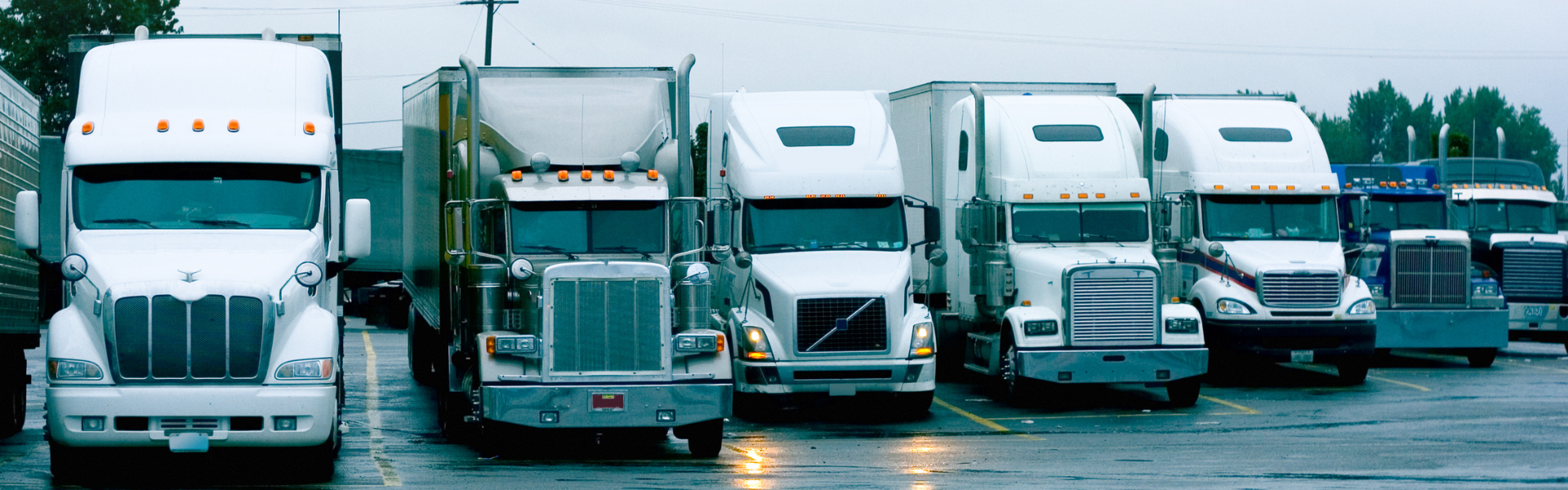 How Truck Shows Foster Community and Innovation in the Trucking Industry