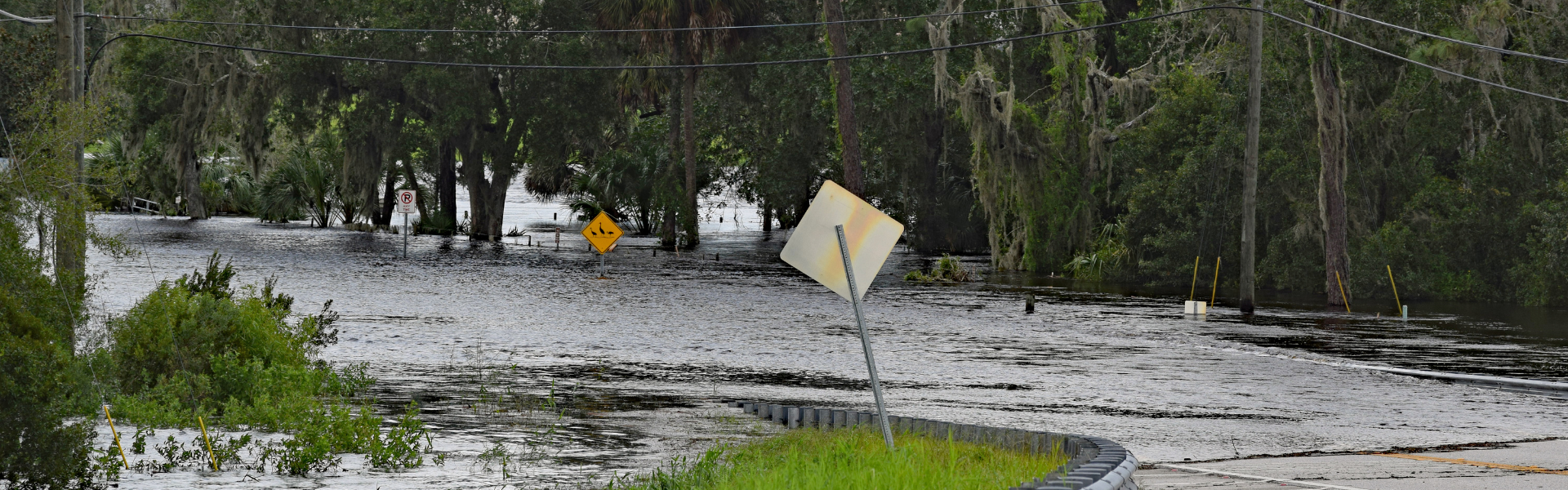 Emergency Declarations in Three States as Hurricane Debby Hits