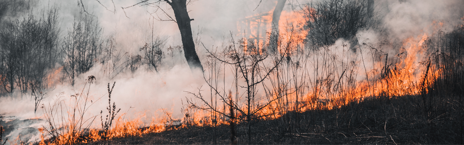 Washington State Faces Fire Emergency: Fuel Supply Critical
