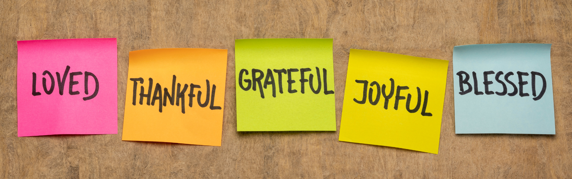 The Power of Gratitude: What the TDUSA Community Is Thankful For