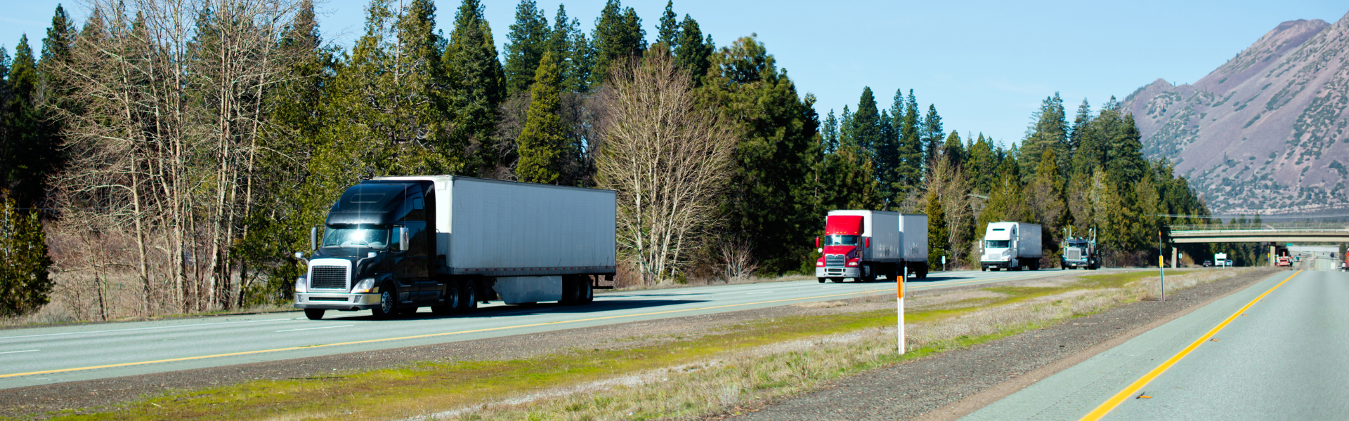 Truckstop Survey Highlights Dedication During National Truck Driver Appreciation Week